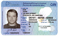 Fail-to-Surrender-Licence Fail to surrender driver licence