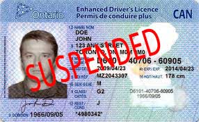 Driver Licence Suspensions